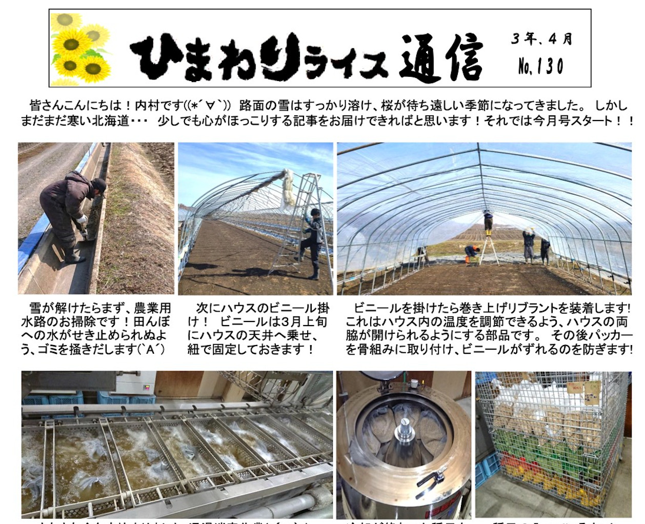 ひまわりライス通信 No.130・令和3年4月【ＪＡきたそらち北竜支所】