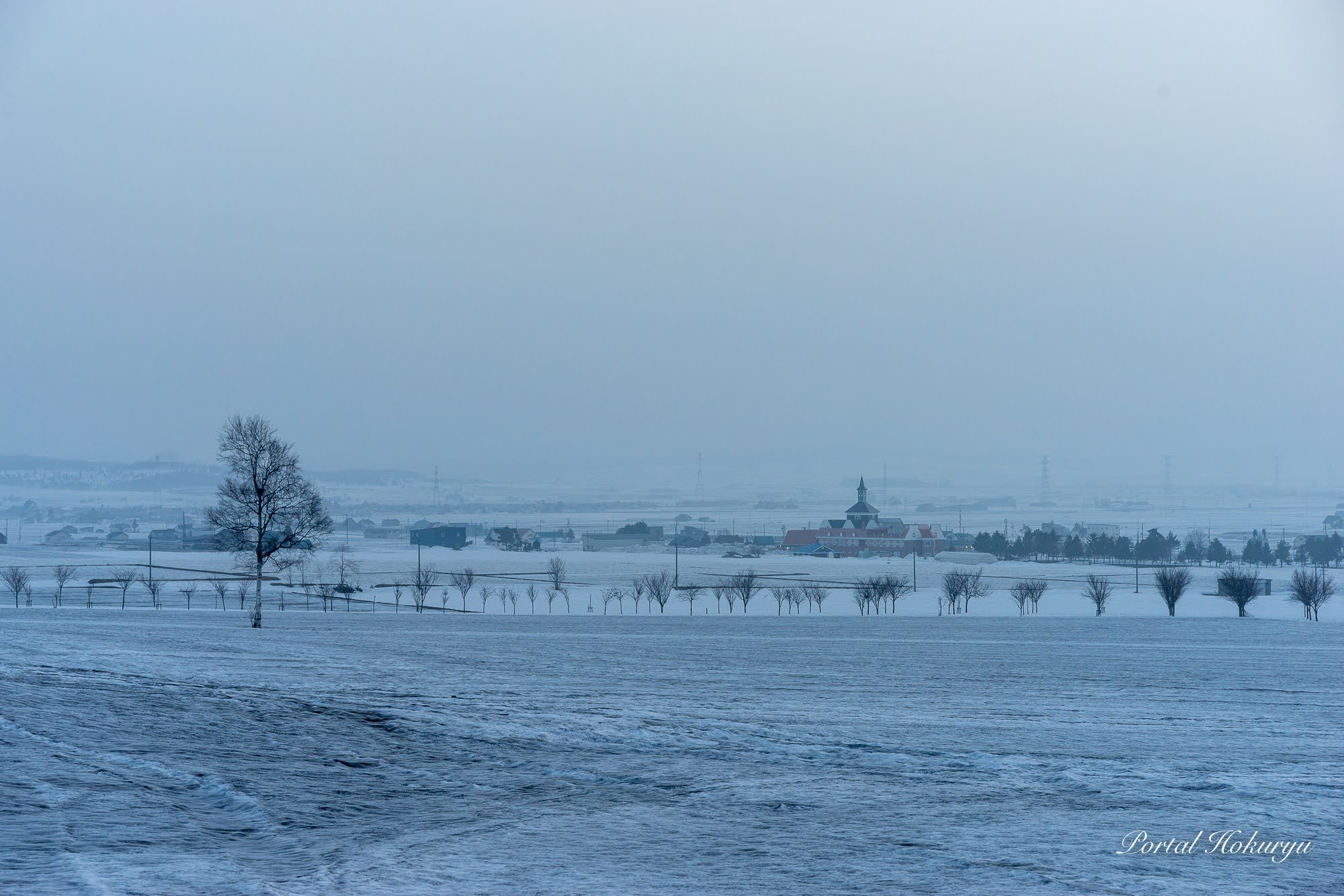 春を待つひまわりの里