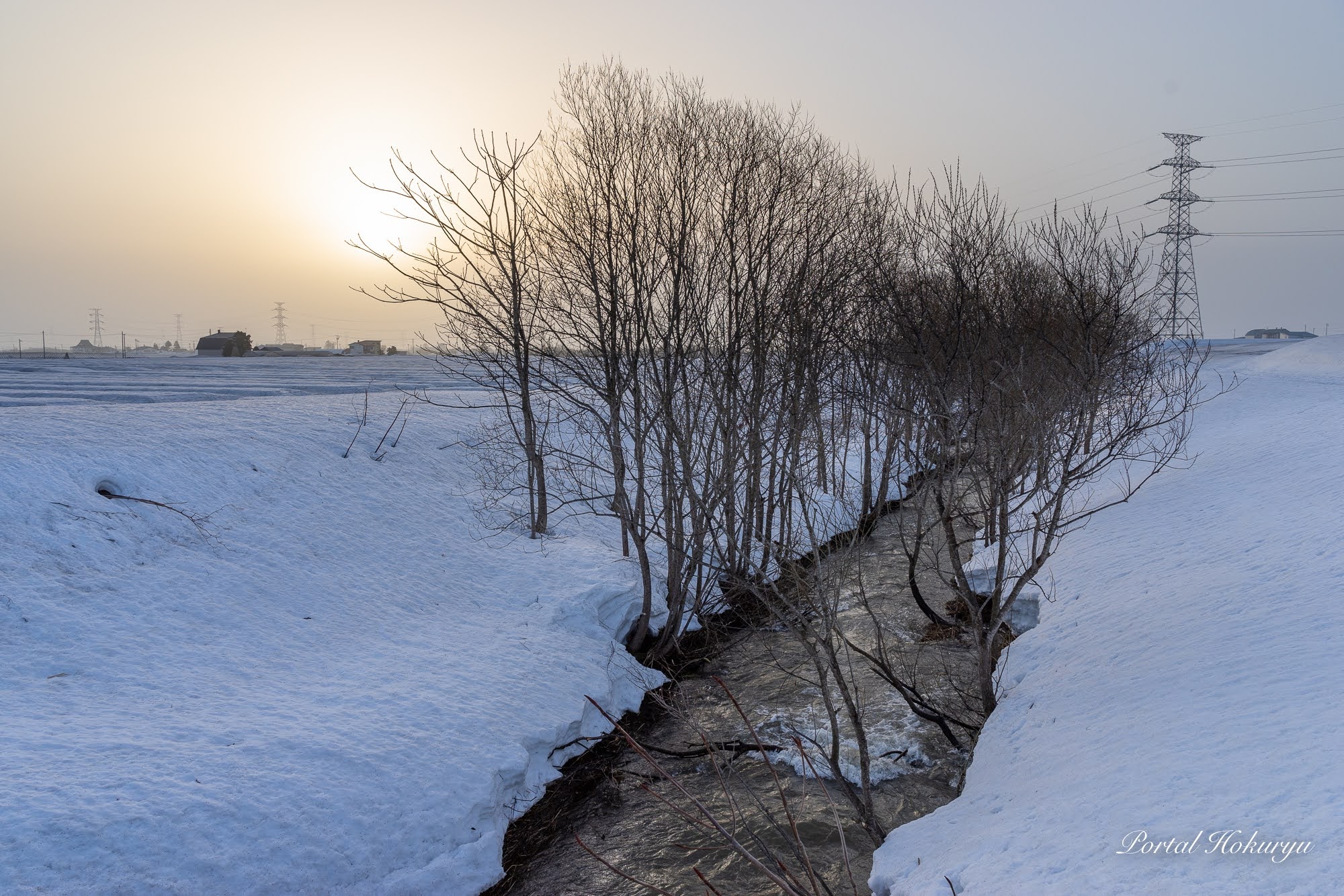 雪解けの春の小川