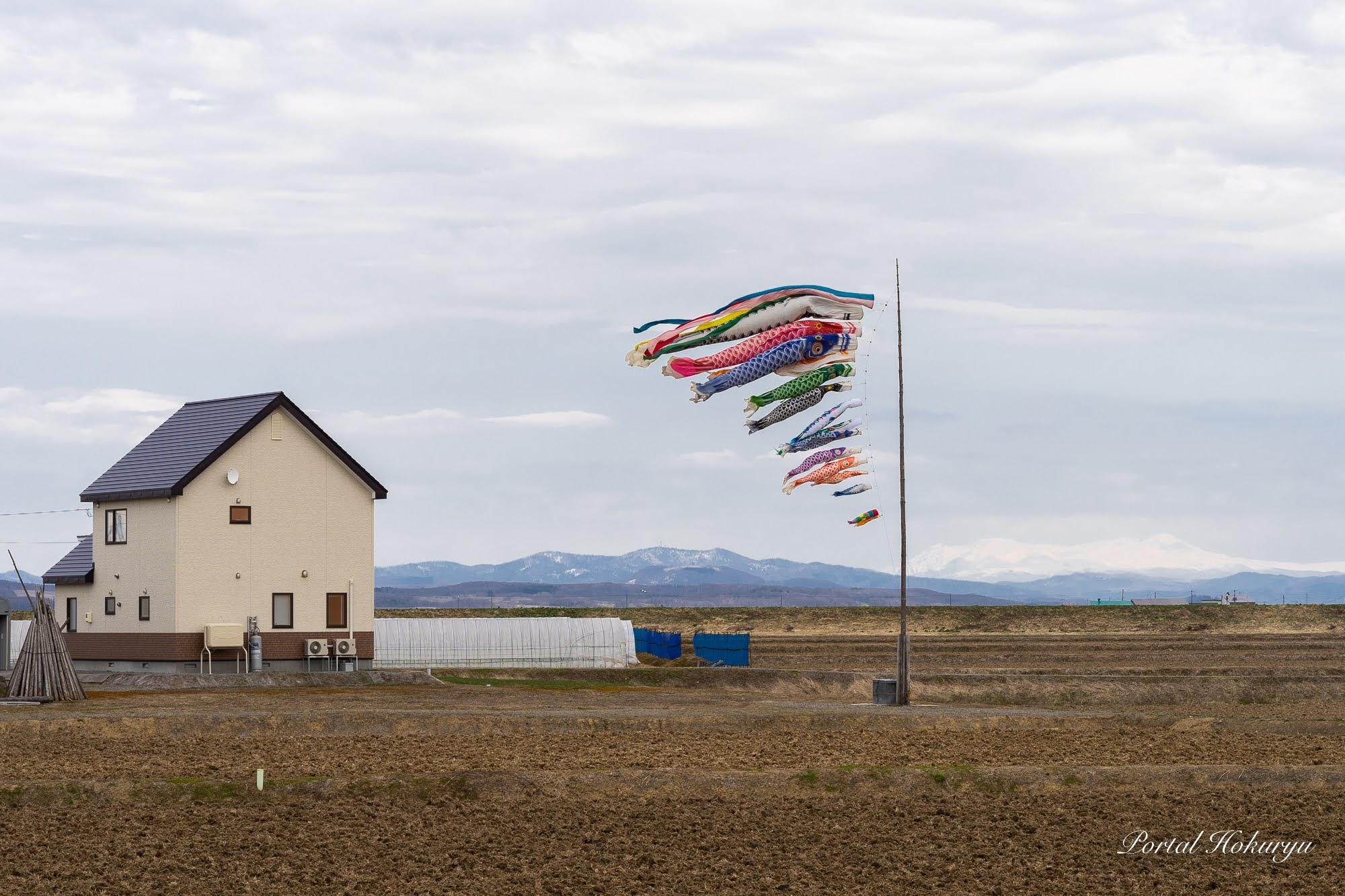 Cờ cá chép nhảy múa trên bầu trời