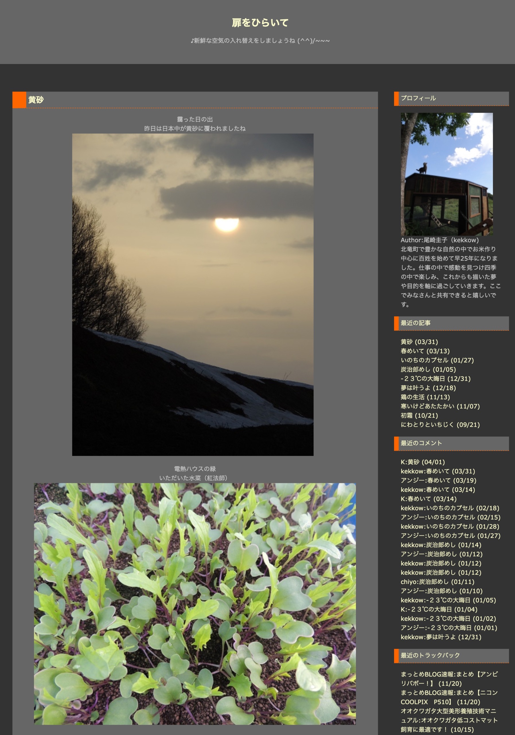 Sarı kum: Puslu bir gün doğumu - Dün, tüm Japonya sarı kumla kaplıydı [Kapıyı aç - Keiko Ozaki]