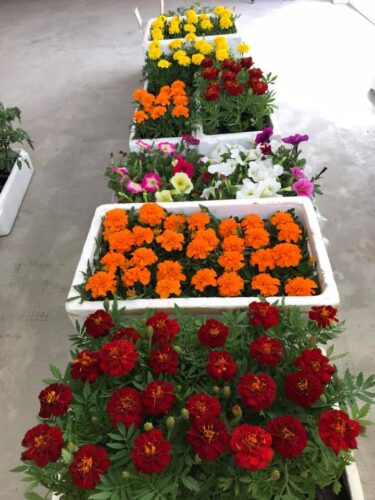 ５月８日オープンです。 今年も沢山のお客様に来て頂けるよう、新鮮でお安い品物をご用意できるよう頑張りますね【みのりっち北竜】