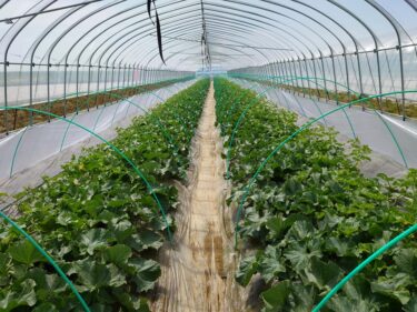 北竜町長 佐野豊 活動報告・5月12日（水）終日事務書類整理