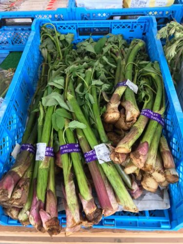 Çok sayıda tereyağı otu, dulavratotu ve eğrelti otu var ♪♪♪ [Minorich Hokuryu]