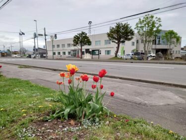 北竜町長 佐野豊 活動報告・5月24日（月）職員と打ち合わせ、事務書類整理、西川町内会・北文子氏通夜参列