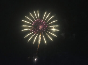 🌻 5月24日（月）ひまわりの里の花火大会の写真です🤳 個人的にどこの花火大会より好きです🎆【お食事処向日葵】