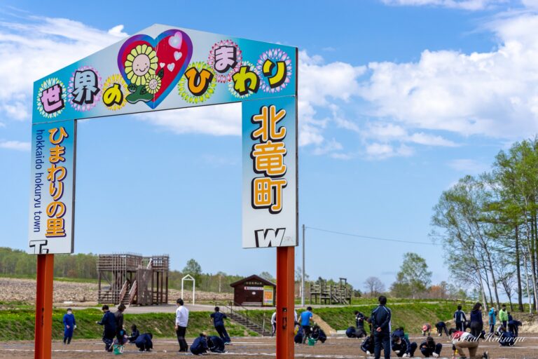 世界のひまわり播種