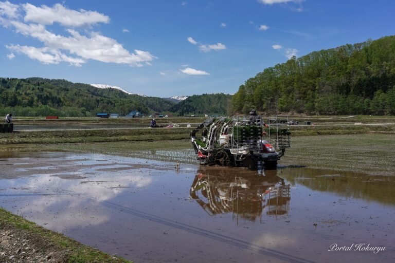 田植えシーズン到来