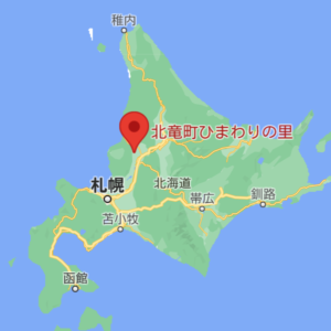 北竜町ひまわりの里>