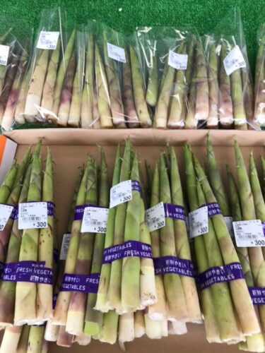 Yalnız çoxlu bambuk yetişdirildi. Bu axşam bambukdan hazırlanmış düyü yemək istərdinizmi? [Minoriç Kitaryu]