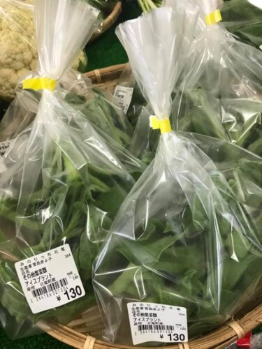 Mən ilk dəfədir ki, buz bitkiləri görürəm. Onu duzlu salat kimi dadmaq istərdinizmi? [Minoriç Kitaryu]