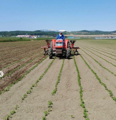 カルチ作業中のところを撮らせてもらいました。草もまだ小さいですが作業後はなくなってスッキリ✨【黒千石事業協同組合】