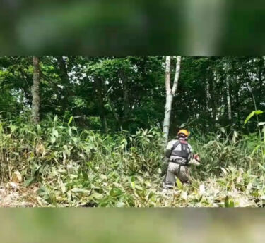 笹やぶへ突撃！ 今年も山の笹刈りに汗を流しています【自然下・上井達矢さん仁美さん】