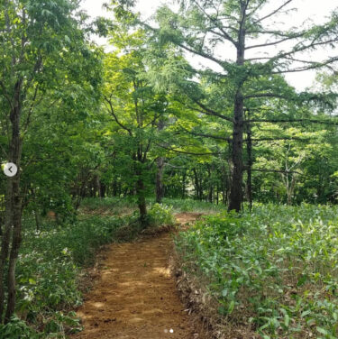 道づくりビフォーアフター：丁寧につくれば良い道ができる。作品には自分の精神が映し出される【自然下・上井達矢さん仁美さん】