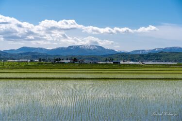 緑爽やかな風景
