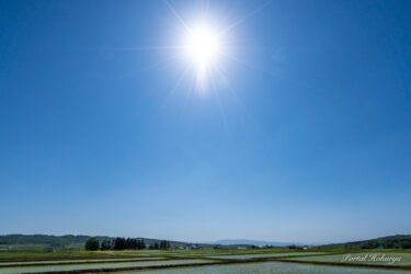 明るく平穏な光