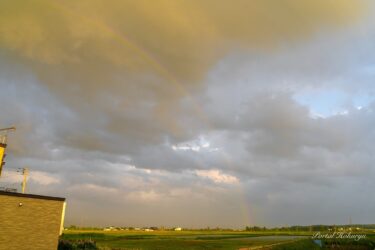 ช่วงเวลาแห่งความหวังอันสดใส