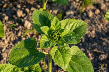 優しい光に包まれて。。。