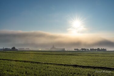 柔らかな光の中で！