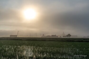 田んぼに映り込む幻想的な光