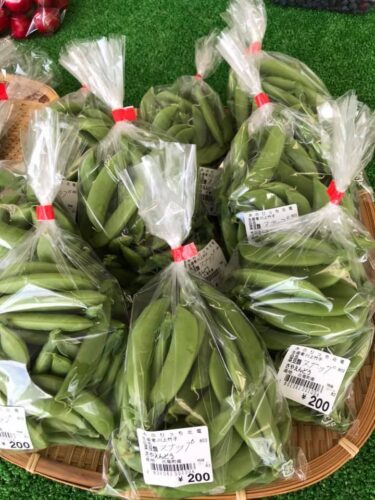 たっぷり実の入ったスナップエンドウが入りました。ビール 🍺 のおともにいかがでしょうか？【みのりっち北竜】