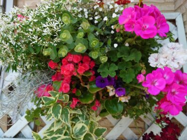 Walikota Kota Hokuryu Yutaka Sano Laporan kegiatan, Kamis 24 Juni, Hari Buka Kantor Walikota