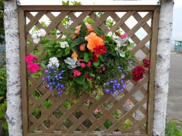 北竜町長 佐野豊 活動報告・6月21日（月）新型コロナウイルス感染症対策本部会議、空知総合振興局長訪問(岩見沢市)、空知町村会三役会議