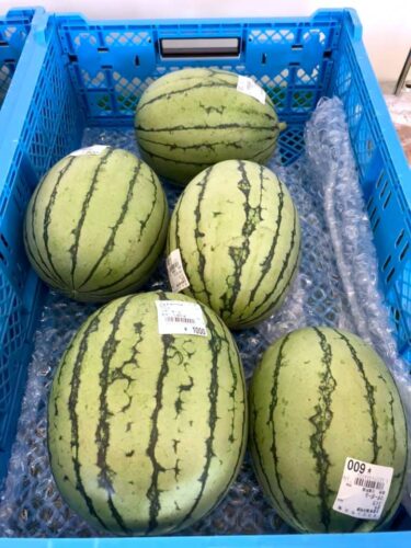 日曜日の初物はマダーボールの西瓜 サラダ大根 ミディの 🍅 も沢山入りました。紅小玉の西瓜もあります【みのりっち北竜】