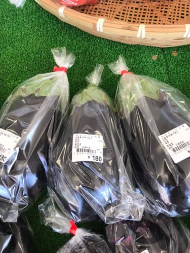 米ナスの大きいのが入りました。ナスステーキにして食べたらいいかと❓【みのりっち北竜】