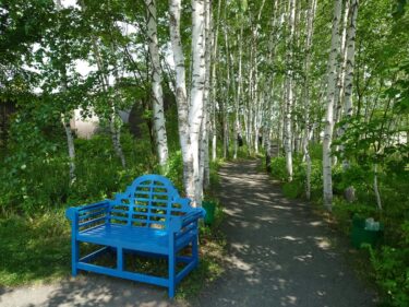 Báo cáo hoạt động của Thị trưởng Thị trấn Hokuryu Yutaka Sano - Ngày 28 tháng 6 (Thứ Hai) Đến thăm để chào mừng lễ nhậm chức của tân chủ tịch Hội đồng Phúc lợi Xã hội, thảo luận về việc sửa đổi sắc lệnh của Quỹ Phát triển Ngân hàng Himawari, tham dự lễ tưởng niệm ông Tsuneo Shinohara của Hiệp hội Khu phố Wacho lễ