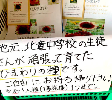 🌻 Cumartesi, 24 Temmuz - Hokuryu Ortaokulu öğrencileri tarafından dünyanın dört bir yanından getirilen ayçiçeği tohumları yetiştiriliyor. Kişi başı bir tane evinize götürmekten çekinmeyin [Himawari Restoran]