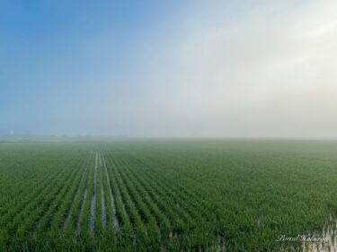 色彩が織り成す朝の風景