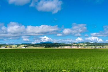 Yaxşı məhsul və dinc günlər üçün dualar
