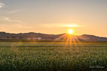 神々しい夕陽の輝き