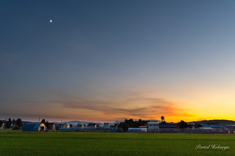 色が混じり合う夕暮れ時の風景