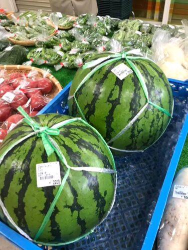 大きな西瓜・縞王の西瓜12キロもある大きなのがあります。ヘリクリサムも手毬草の花も入りました 🌼 💐【みのりっち北竜】