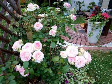 Thị trưởng Hokuryu Báo cáo hoạt động Yutaka Sano - Ngày 7 tháng 7 (Thứ Tư) Gặp gỡ tân Chủ tịch Hội đồng Phúc lợi Xã hội Thị trấn Hokuryu, thăm Văn phòng Sở Xây dựng và Phát triển Sapporo Takigawa River, Đại diện Kamiya, Thành viên Hạ viện và Hokkai Land Cố vấn công trình cải tiến