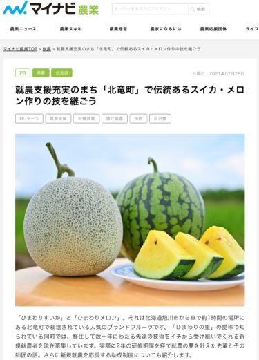 北竜町特産品「ひまわりメロン」「ひまわりスイカ」の就農支援についての素晴らしいタイアップ記事が「マイナビ農業」に掲載されました【マイナビ農業】