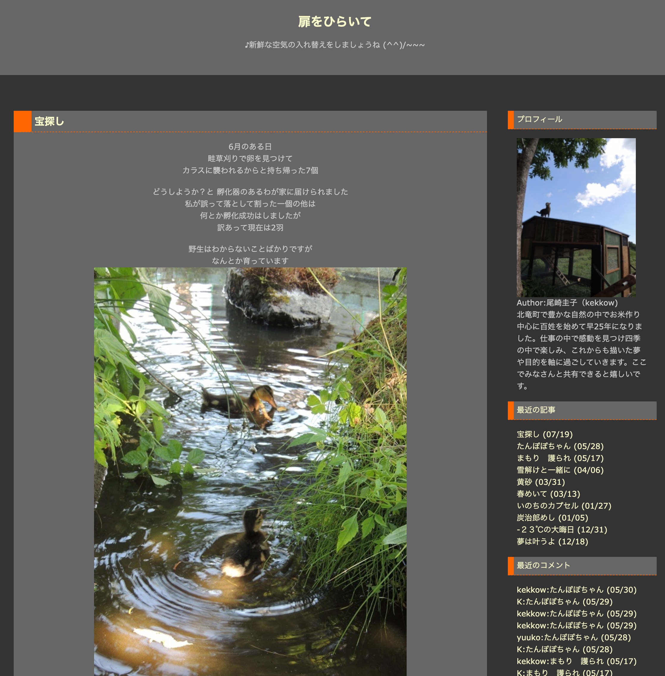 毎朝陽が照る前にハウスを歩き回るのは 《宝探し》