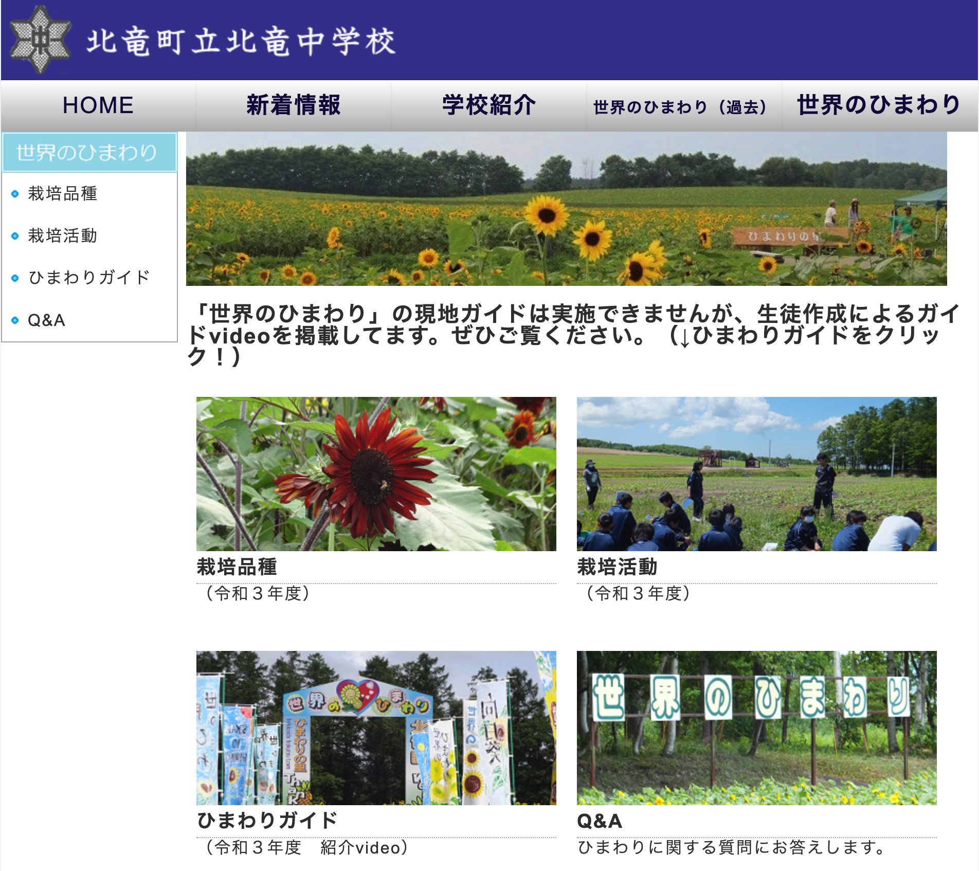 北竜中学校 世界のひまわり・動画紹介