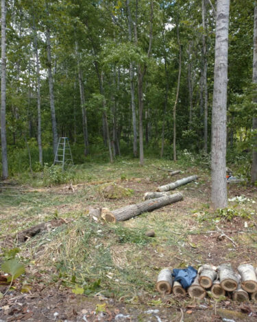 Satoyama'yı Yaratmak [Ei no Mori Etkinlik Organizasyonu, Temsilci: Osamu Kato]