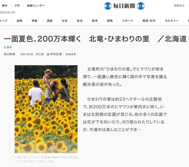一面夏色、200万本輝く　北竜・ひまわりの里　／北海道【毎日新聞】