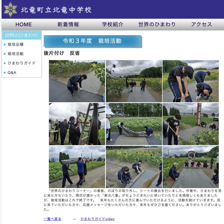 世界のひまわり後片付け・反省：来年もぜひご支援ください。ありがとうございました【北竜中学校】