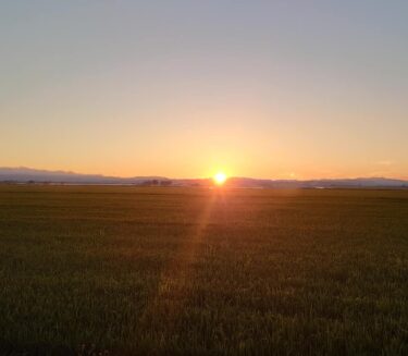 北竜町長 佐野豊 活動報告・8月2日（月）企画振興課係長以上職員、消防北竜支署職員、第21回議会全員協議会