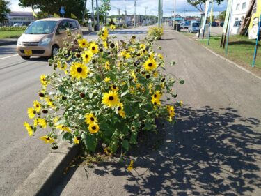 北竜町長 佐野豊 活動報告・8月23日（月）第19回新型コロナウイルス感染症対策会議、北教組全道キャラバン来訪、議会正副議長と懇談