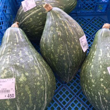 Bu gün stokumuzda çoxlu balqabaq 🎃 var. Həm böyük, həm də kiçik balqabaq növləri var [Minoriç Hokuryu]