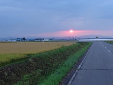 北竜町長 佐野豊 活動報告・8月30日（月）水稲生育状況調査（稲刈りが始まりました🌻）、和町内会白石広司氏通夜焼香参列