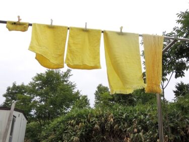 Ayçiçeği yaprakları: Kaynamış suyla havlu ve pamuk iplikleri boyadım ve şaşırtıcı derecede iyi sonuç aldım [Kapıyı aç, Keiko Ozaki]