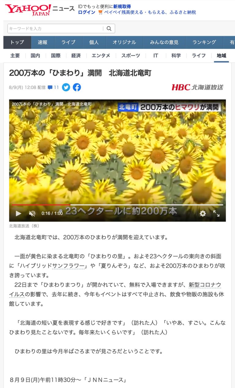 200万本の「ひまわり」満開　北海道北竜町【Yahooニュース】