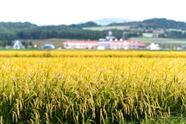 豊潤な秋の恵みに感謝をこめて！